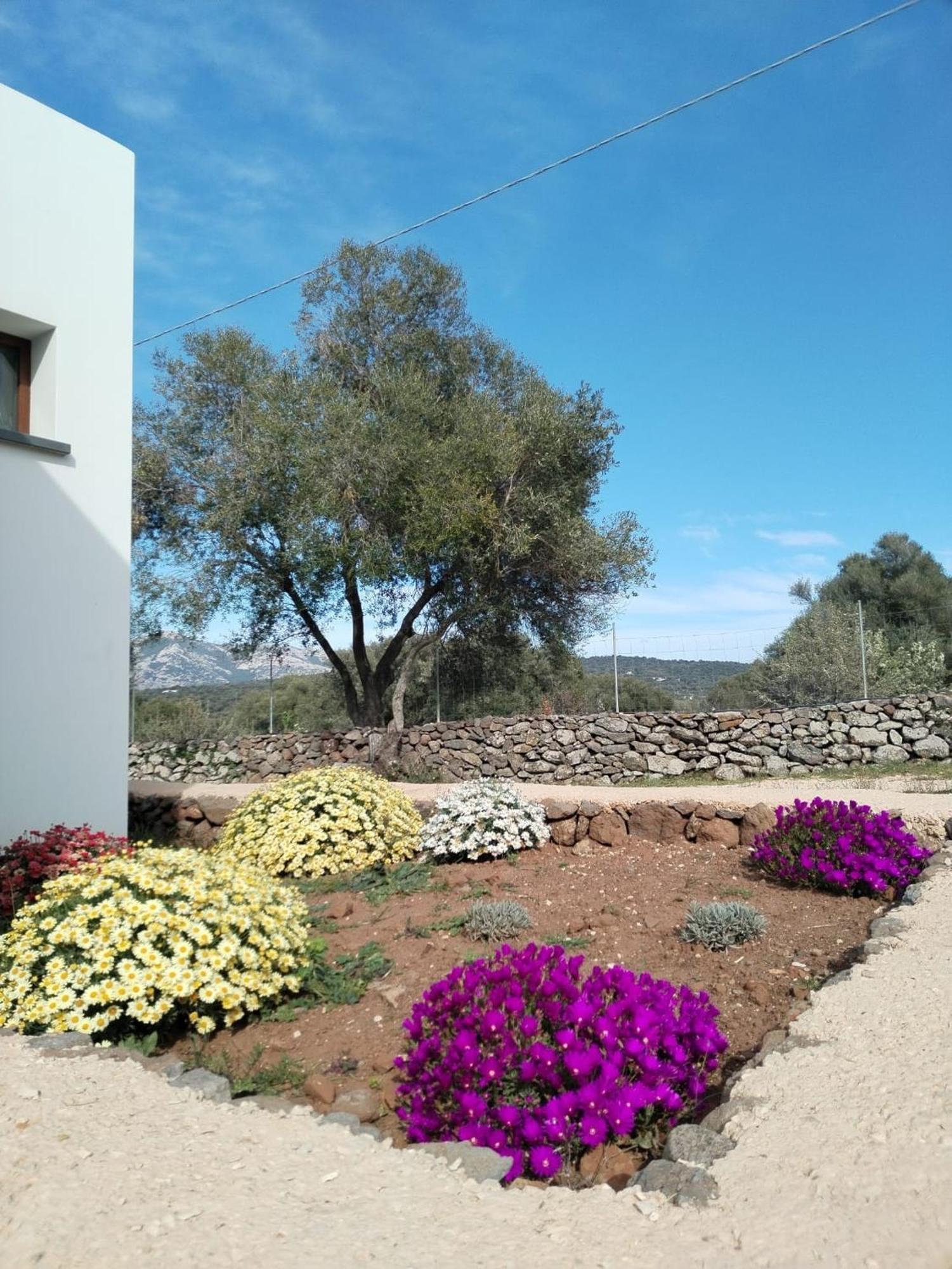 Farmhouse La Croisette - Agriturismo Dorgali Extérieur photo